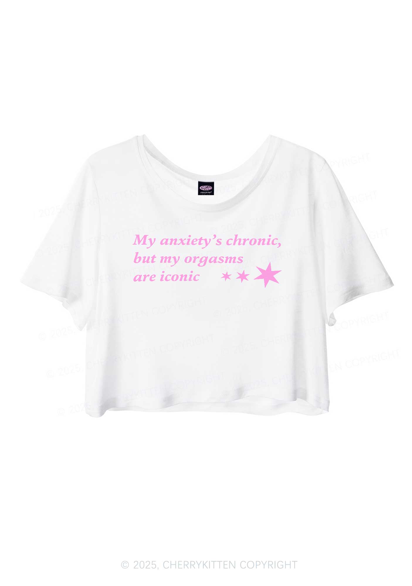 Anxiety Chronic Y2K Sheer Crop Tee Cherrykitten