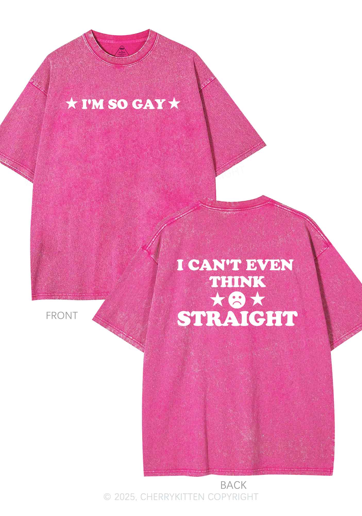 Im So Gay Two Sides Pride Y2K Shirts Washed Tee Cherrykitten