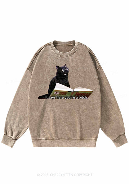It Says Here Youre A Bixxh Y2K Washed Sweatshirts Cherrykitten