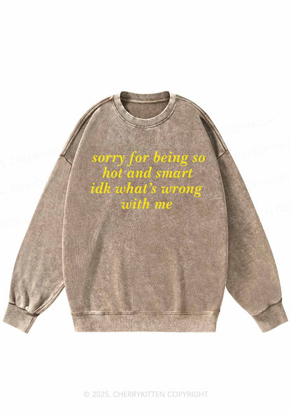 Sorry For Being So Smart Y2K Washed Sweatshirts Cherrykitten