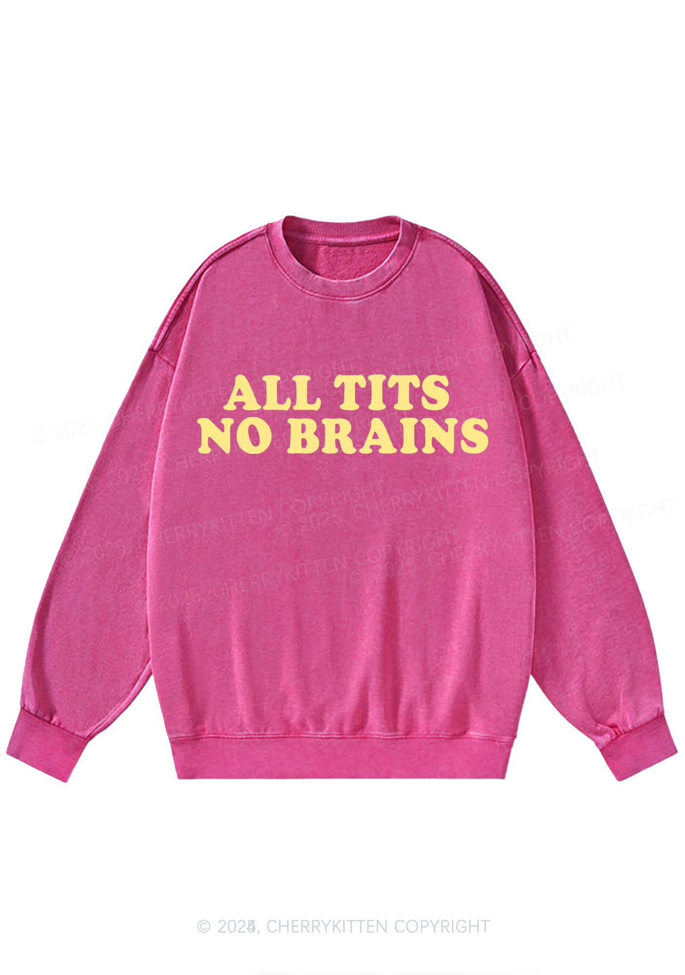 All Txts No Brains Y2K Washed Sweatshirts Cherrykitten