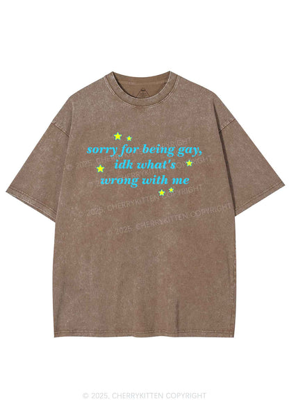 Sorry For Being Gay Pride Y2K Shirts Washed Tee Cherrykitten