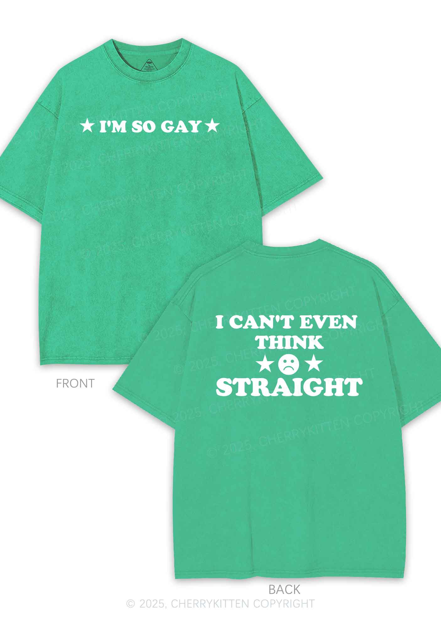 Im So Gay Two Sides Pride Y2K Shirts Washed Tee Cherrykitten
