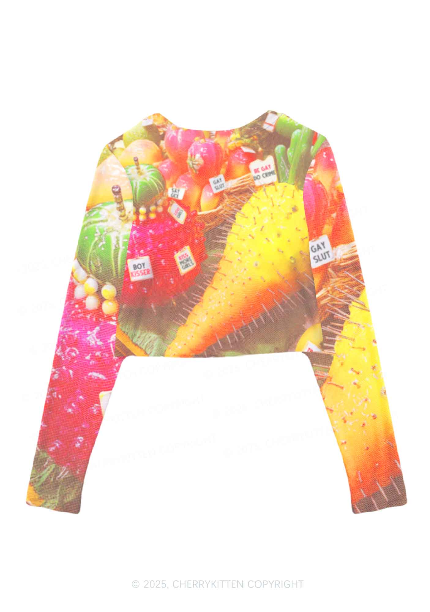Various Fruits Pride Y2K Mesh Long Sleeve Crop Top Cherrykitten