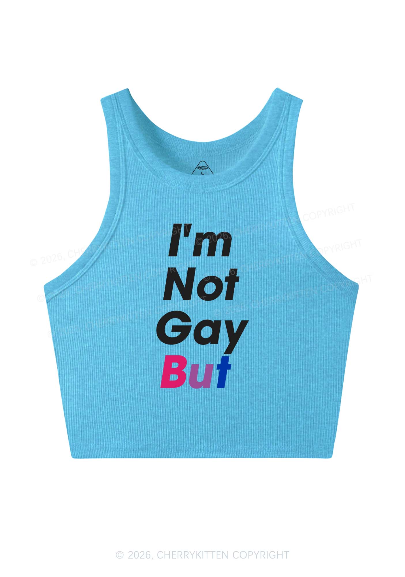 Im Not Gay But Pride Y2K Crop Tank Top Cherrykitten