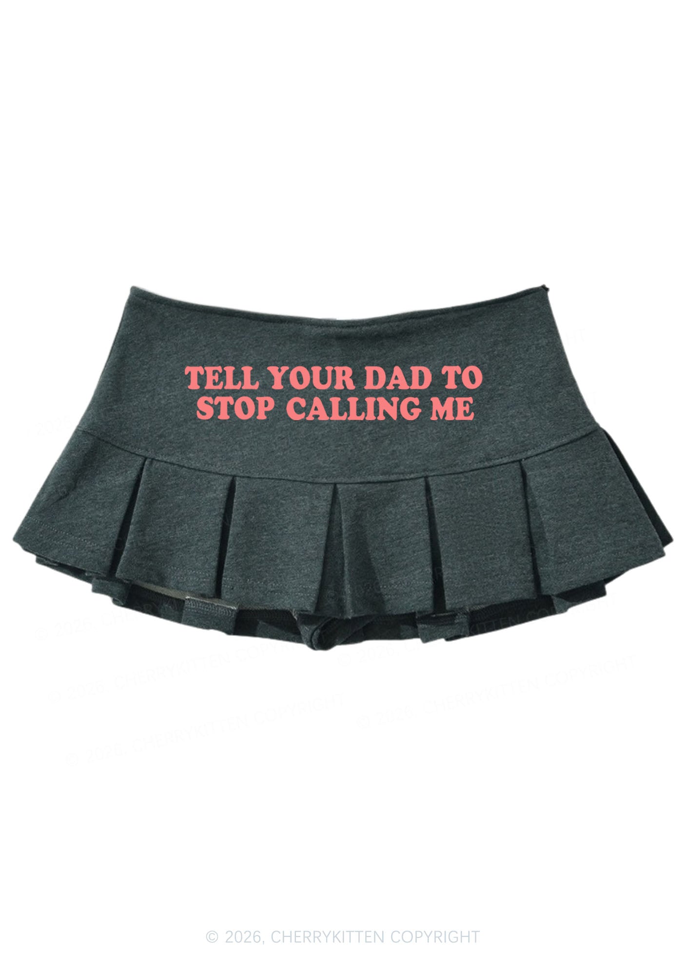 Dad Stop Calling Me Y2K Mini Pleated Skirts Cherrykitten