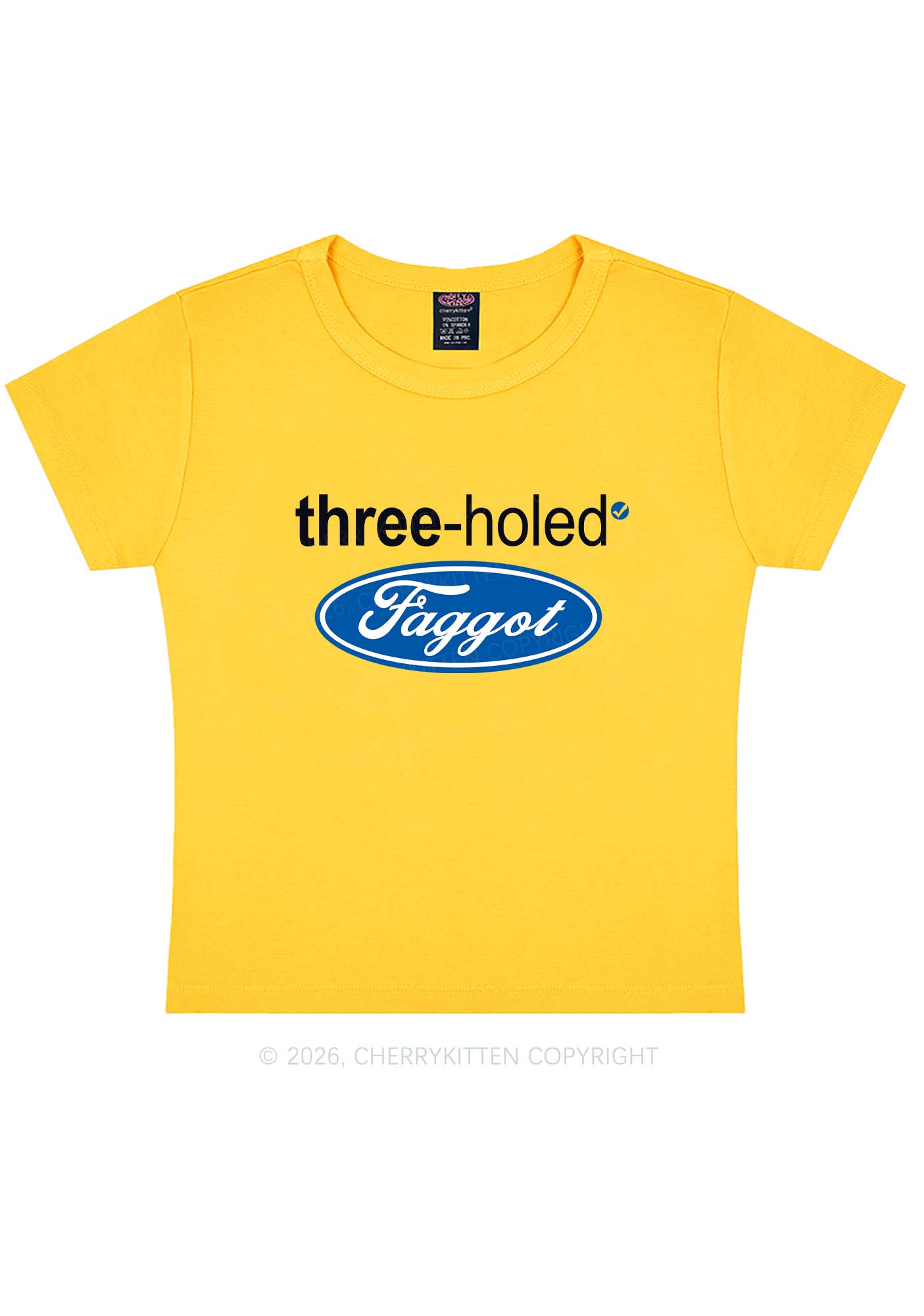 Three Holed Faggot Pride Y2K Baby Tee Cherrykitten