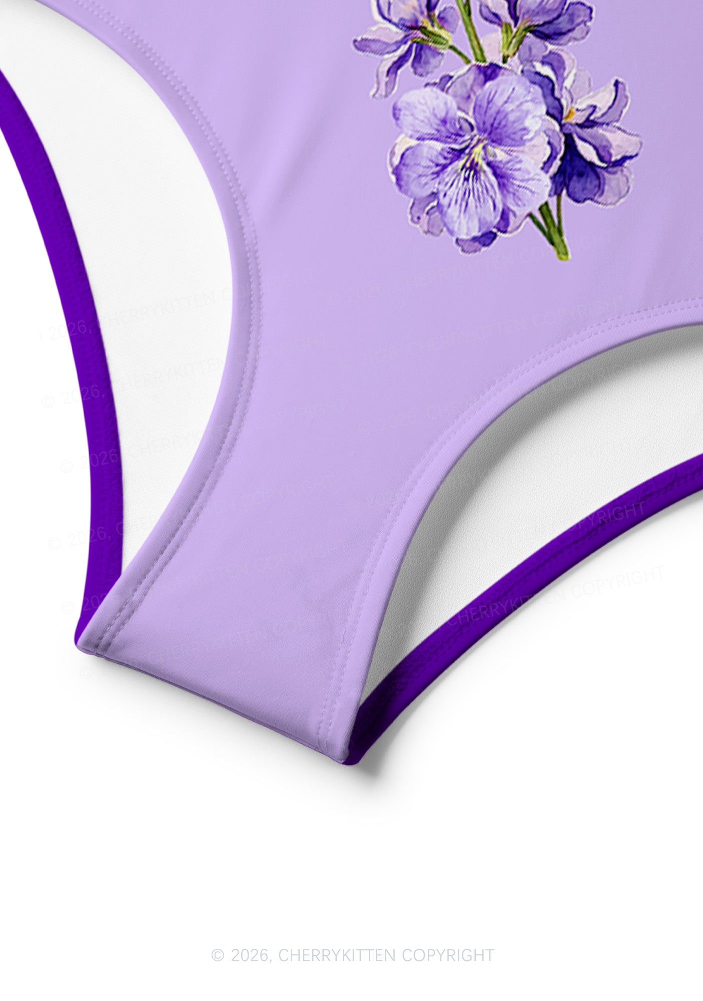 Purple Sapphic Pride Y2K Print Bikini Set Cherrykitten