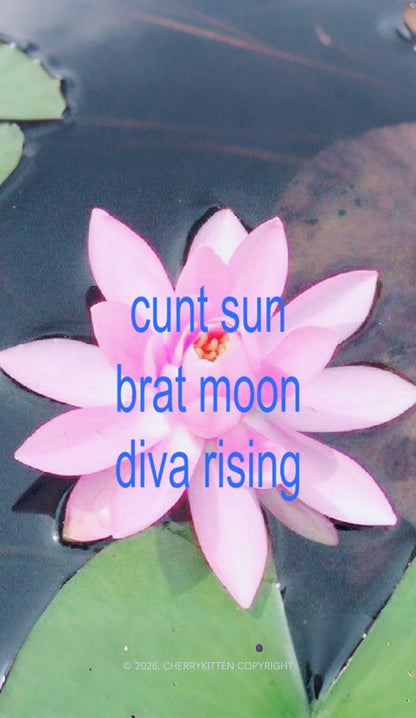 Cxxt Sun Brat Moon Diva Rising Lotus Y2K Phone Case Cherrykitten