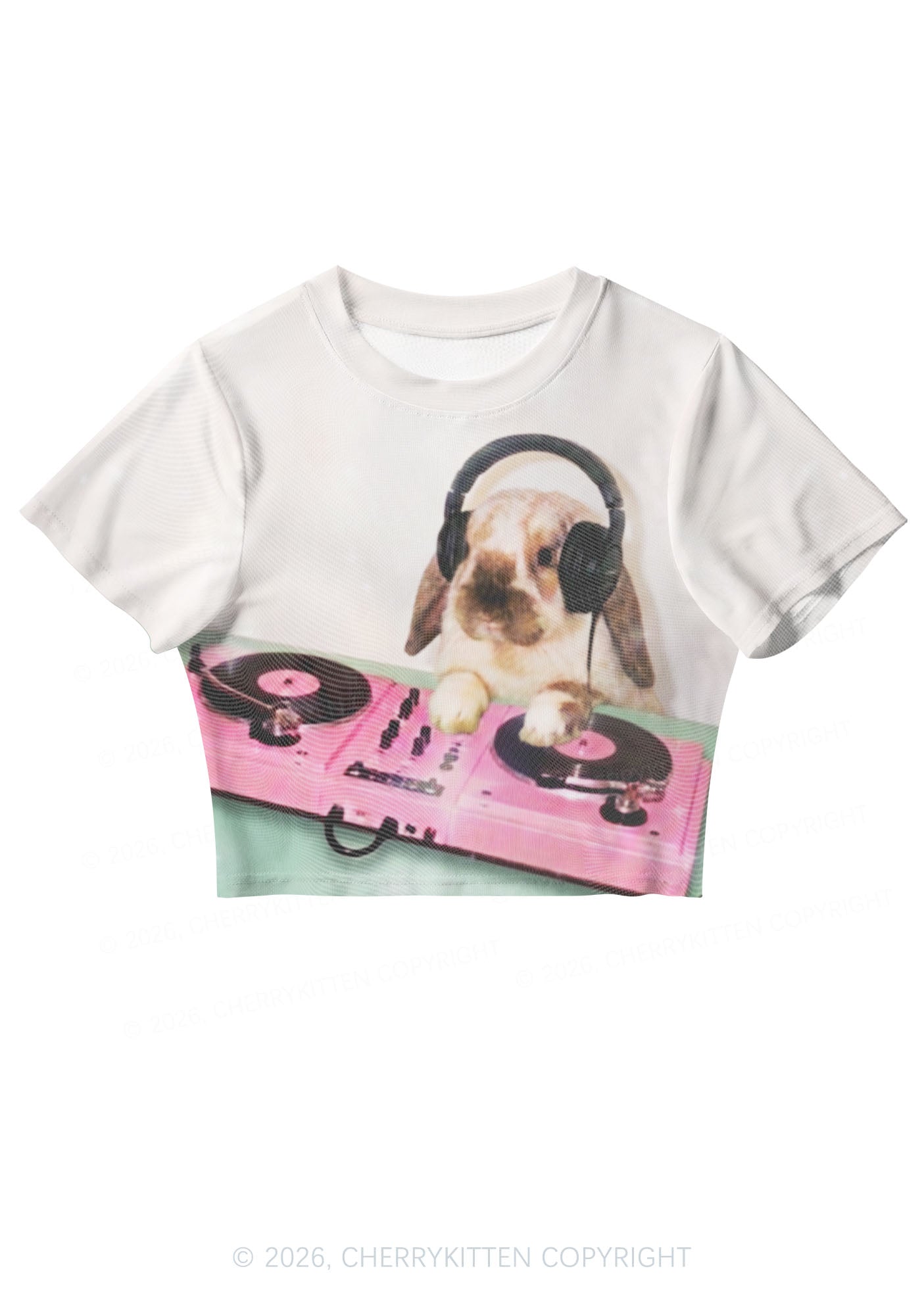 Lop Eared Bunny DJ Y2K Mesh Crop Top Cherrykitten