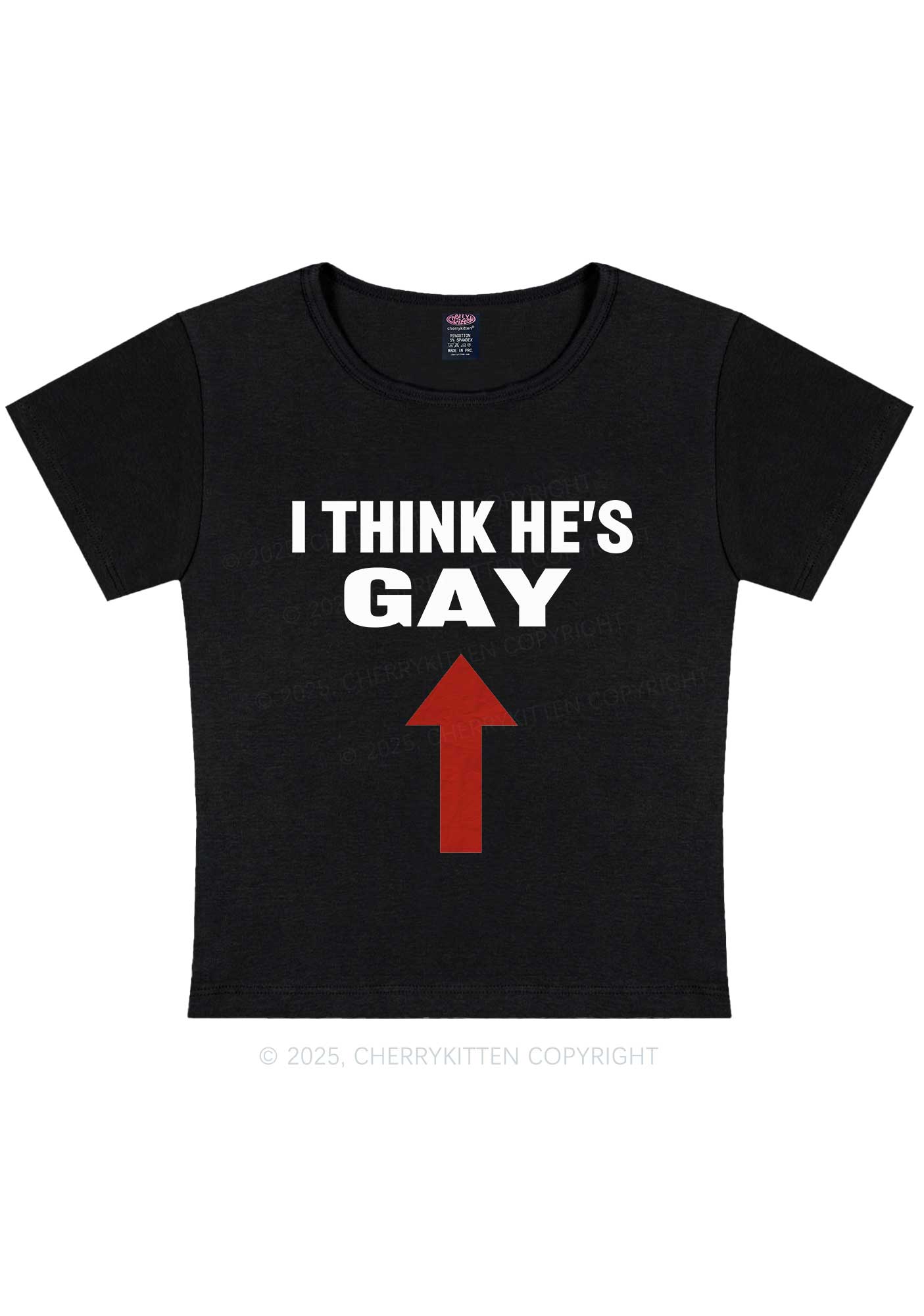 He Is Gay Y2K Baby Tee Cherrykitten
