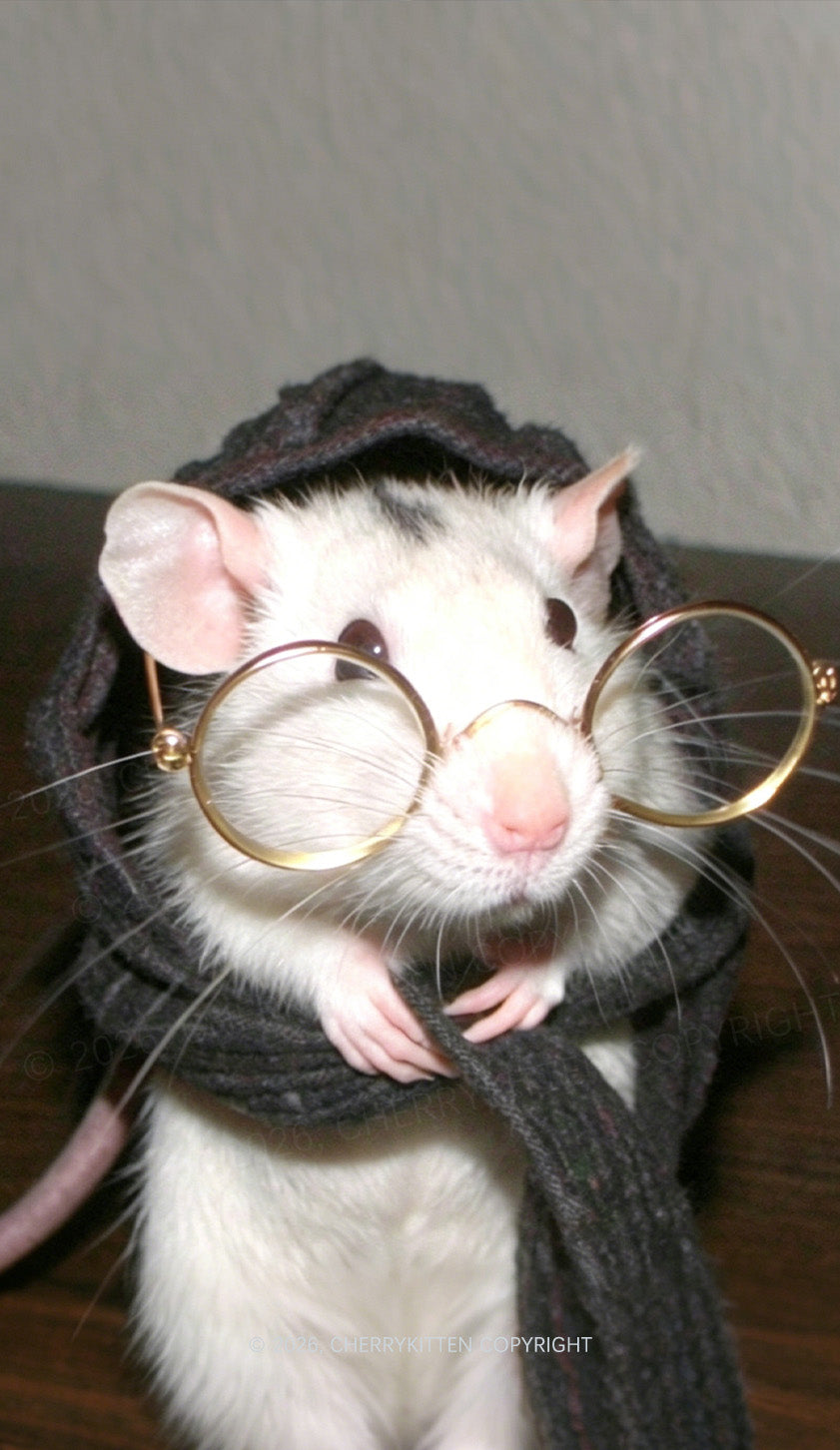 Glasses Rat Y2K Phone Case Cherrykitten