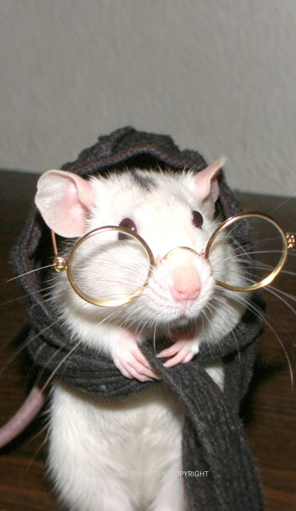 Glasses Rat Y2K Phone Case Cherrykitten