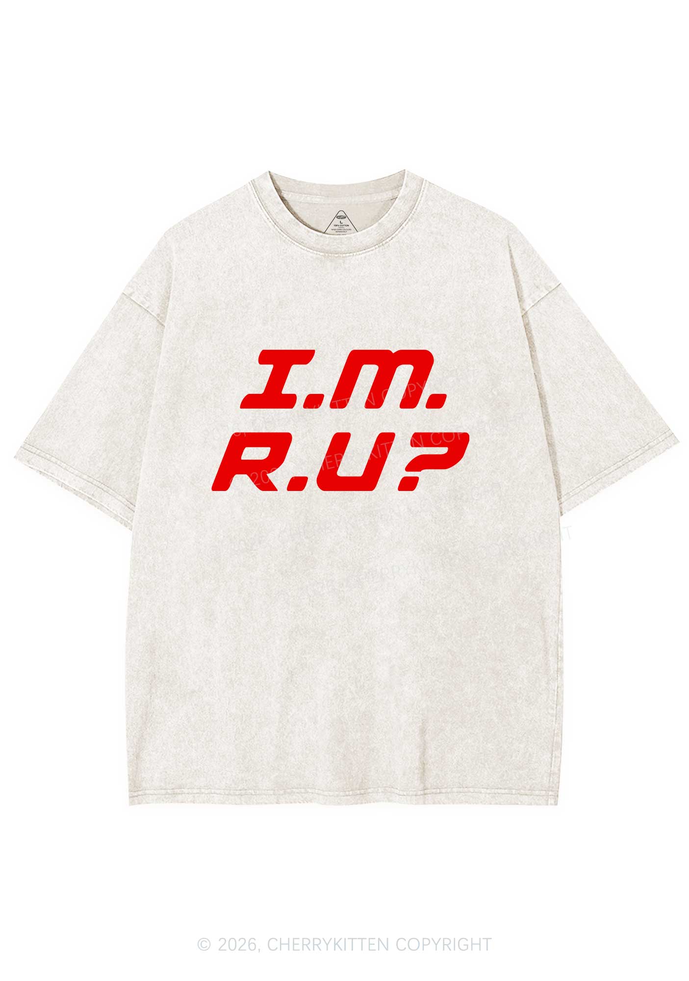 Im Ru Pride Y2K Shirts Washed Tee Cherrykitten