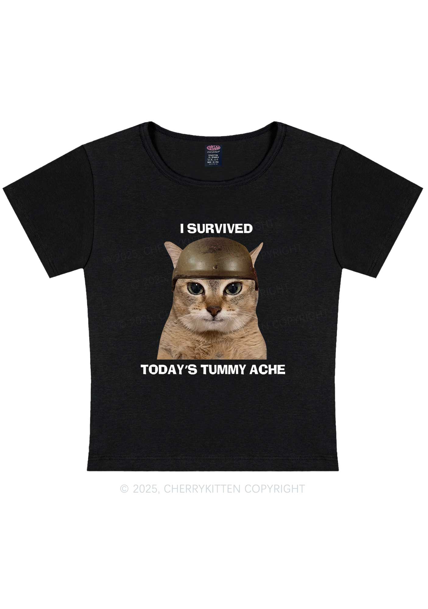 Surived Todays Tummy Ache Y2K Baby Tee Cherrykitten