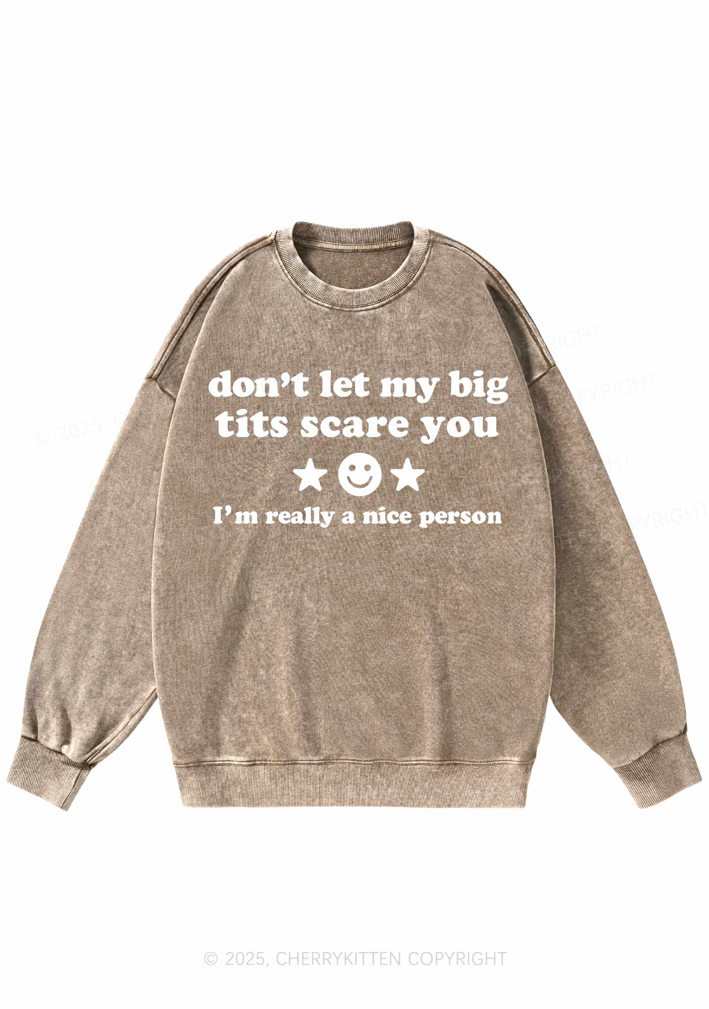 Dont Let My Big Txts Scare You Y2K Washed Sweatshirts Cherrykitten