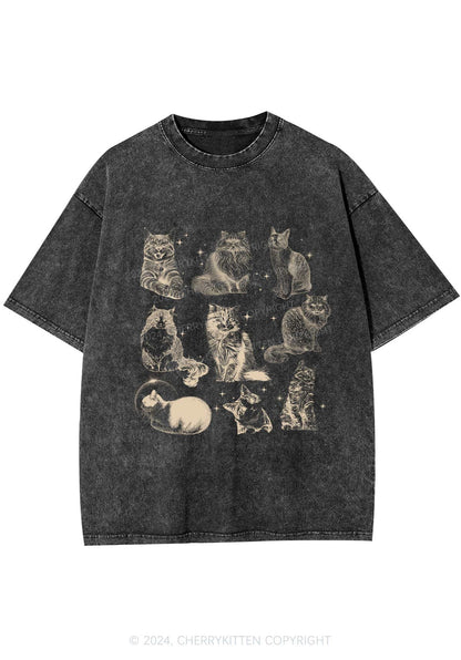 Retro Kitten Y2K Washed Tee Cherrykitten