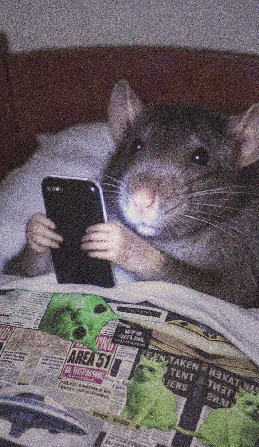 Bed Rat Smartphone Y2K Phone Case Cherrykitten