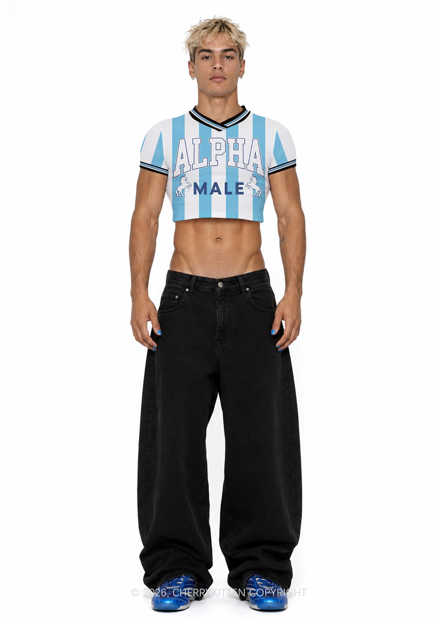 Alpha Male Unicorn Pride Y2K Crop Football Jersey Shirts Cherrykitten
