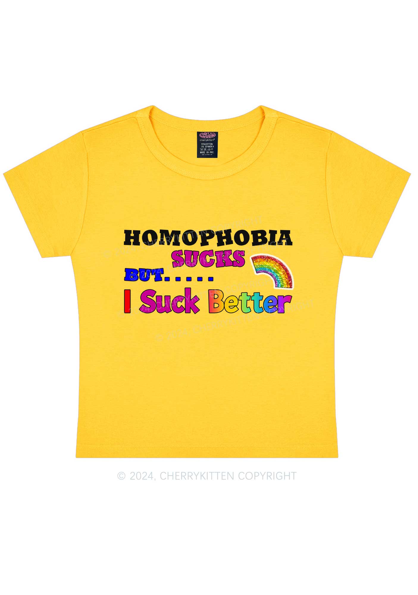 Homophobia Sucks Y2K Baby Tee Cherrykitten