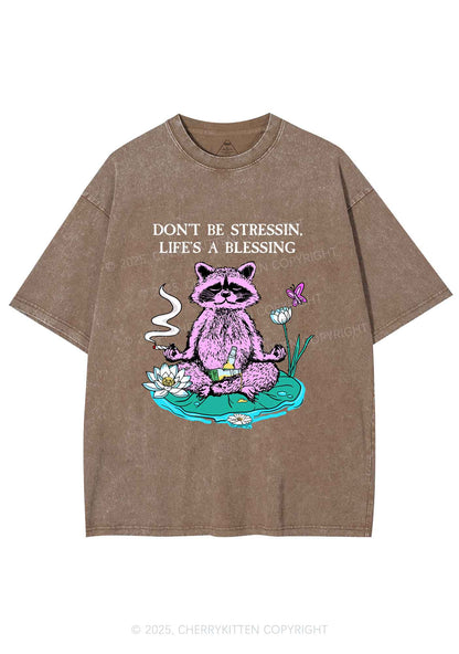 Dont Stress Raccoon Y2K Shirts Washed Tee Cherrykitten