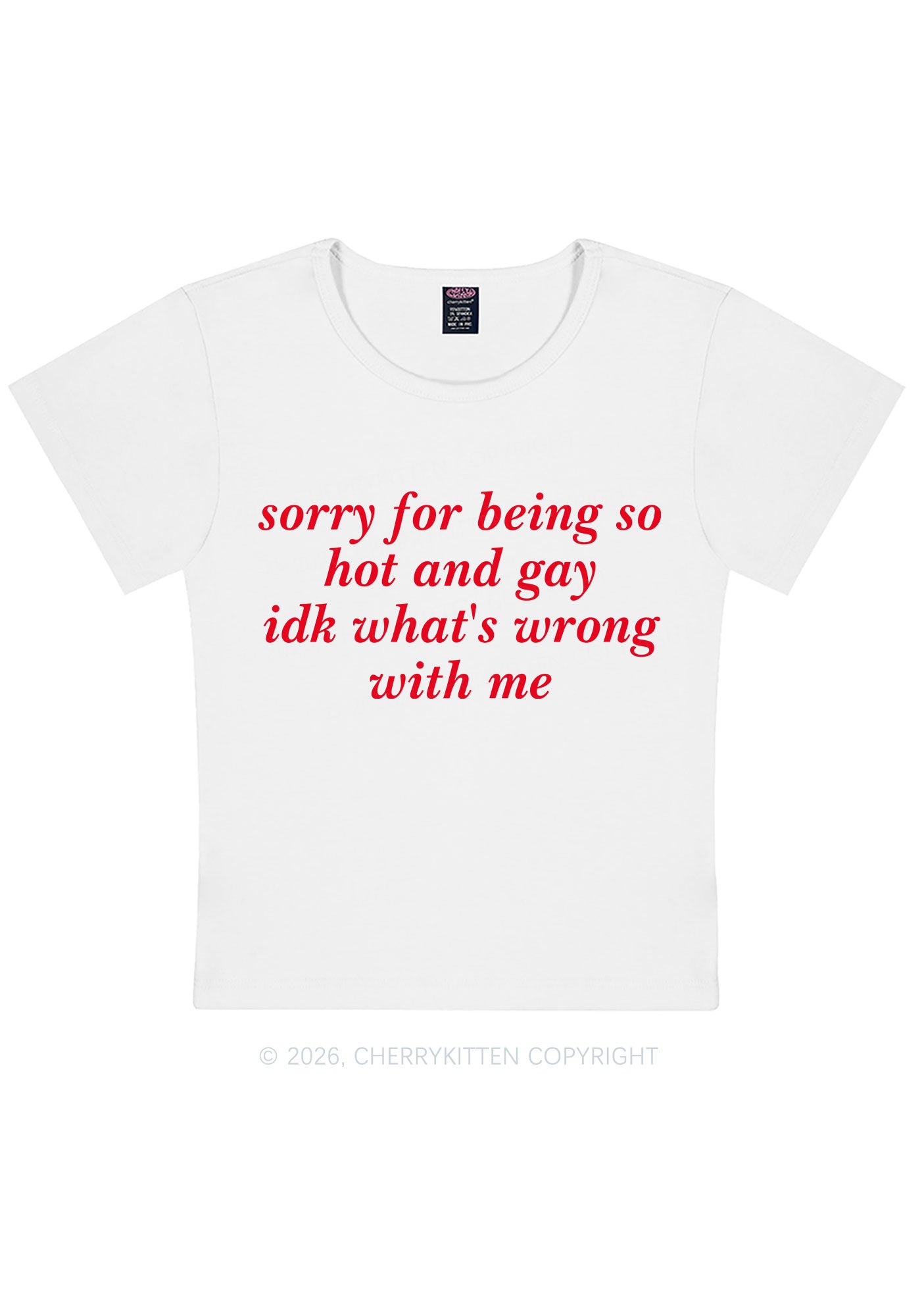 Sorry For Being Gay Pride Y2K Baby Tee Cherrykitten