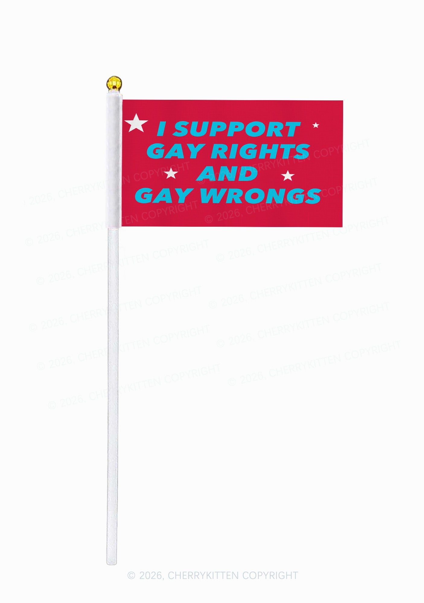 I Support Gay Rights Pride Y2K Hand Flags Cherrykitten