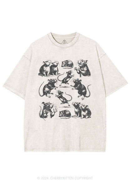 Crazy Rats Y2K Washed Tee Cherrykitten