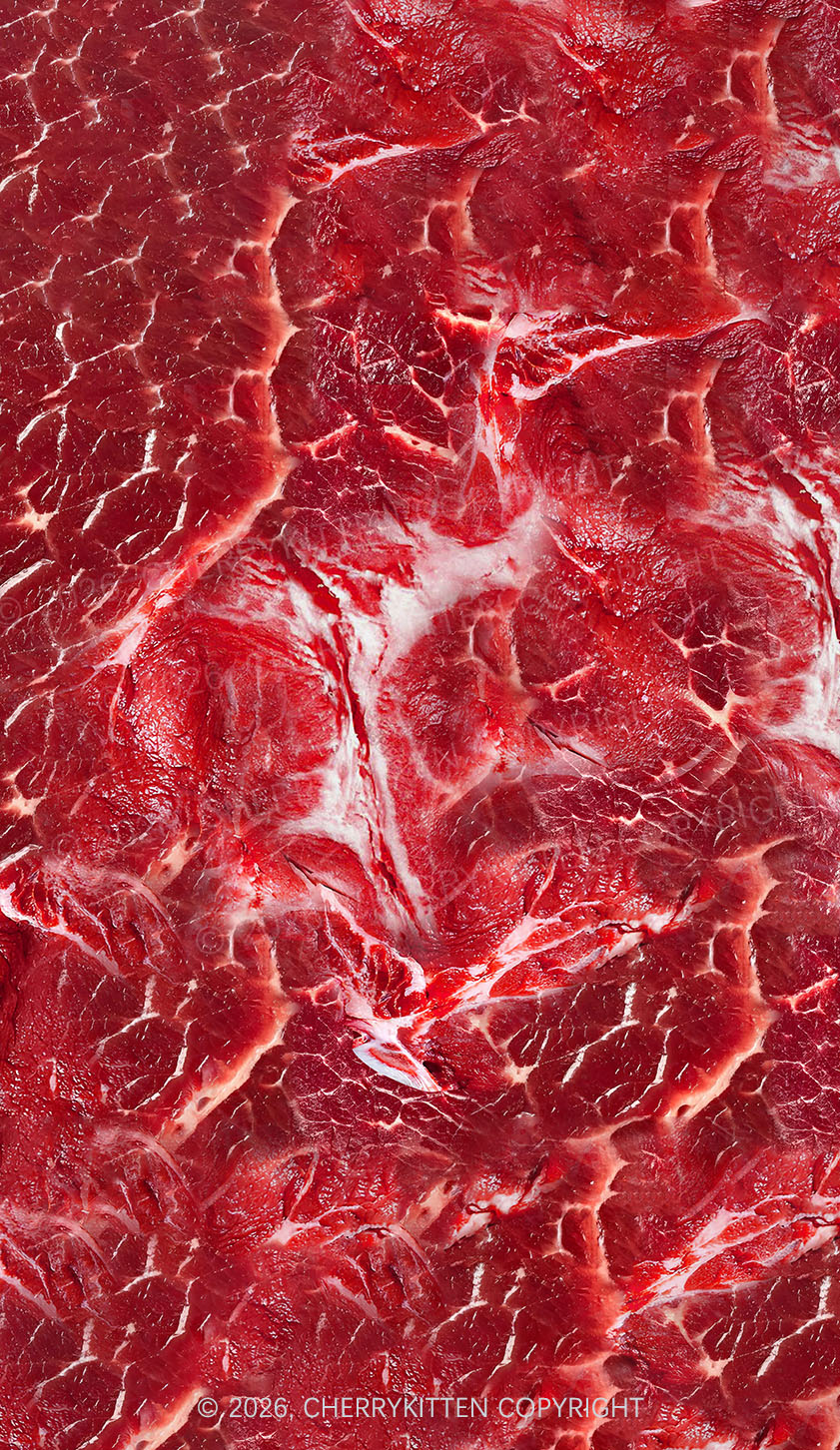 Beef Steak Texture Y2K Phone Case Cherrykitten