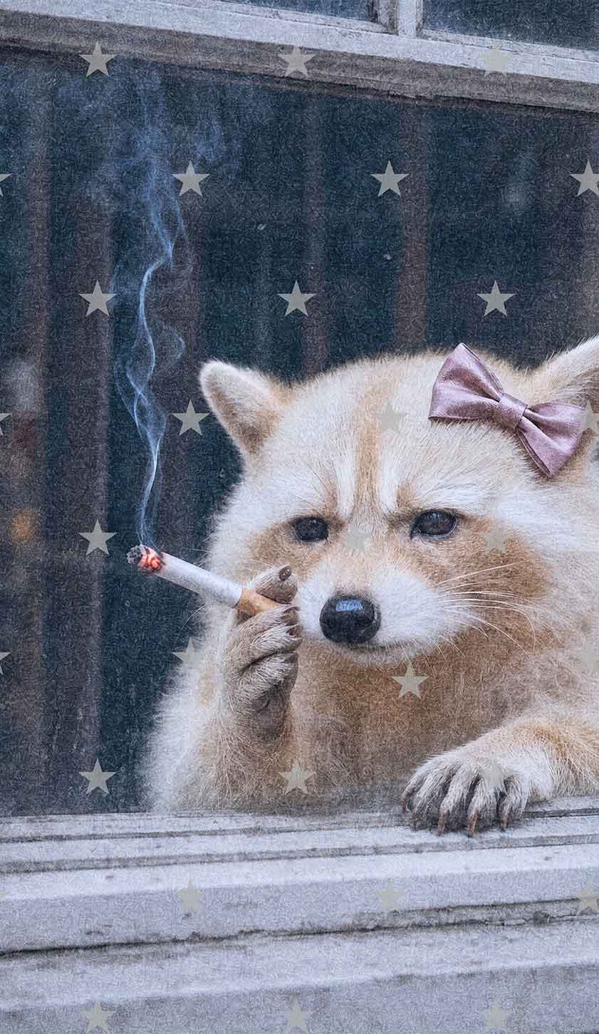 Pink Bow Smoking Raccoon Y2K Phone Case Cherrykitten
