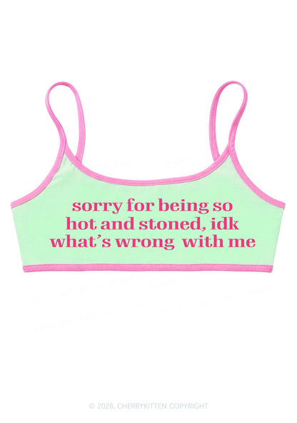 Sorry For Being Hot And Stoned Y2K Super Crop Cami Cherrykitten