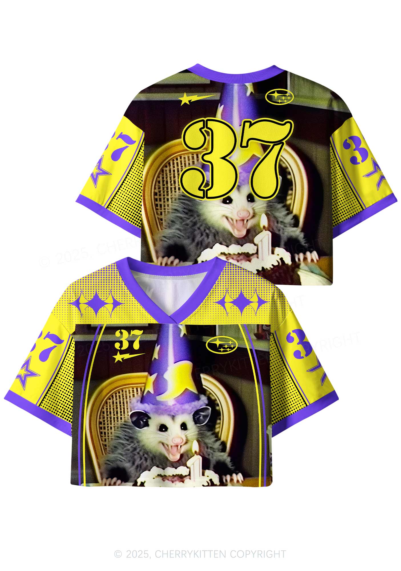 Custom Birthday Rat Y2K Crop Sport Jersey Shirts Cherrykitten