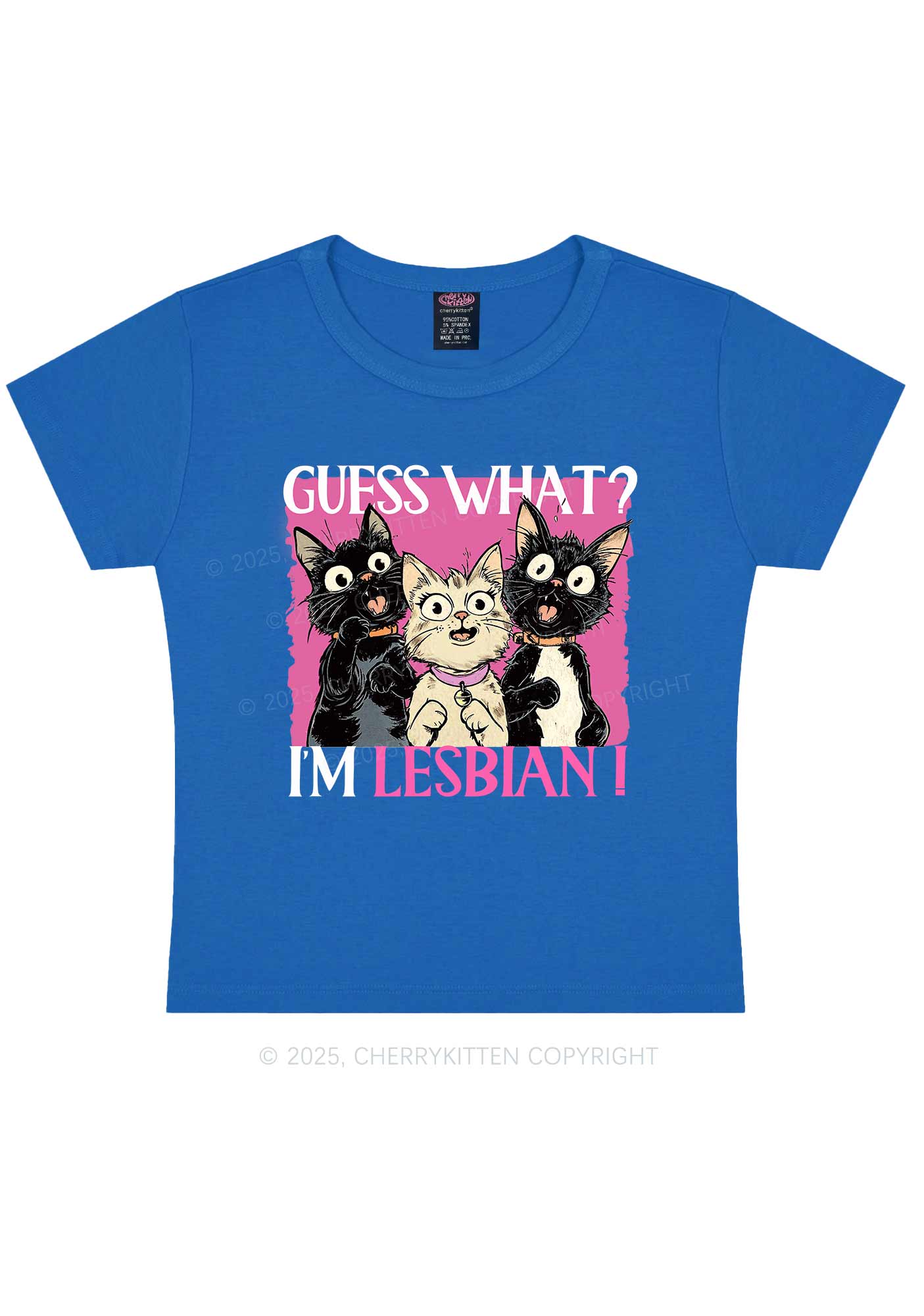 Im Lesbian Cat Pride Y2K Baby Tee Cherrykitten