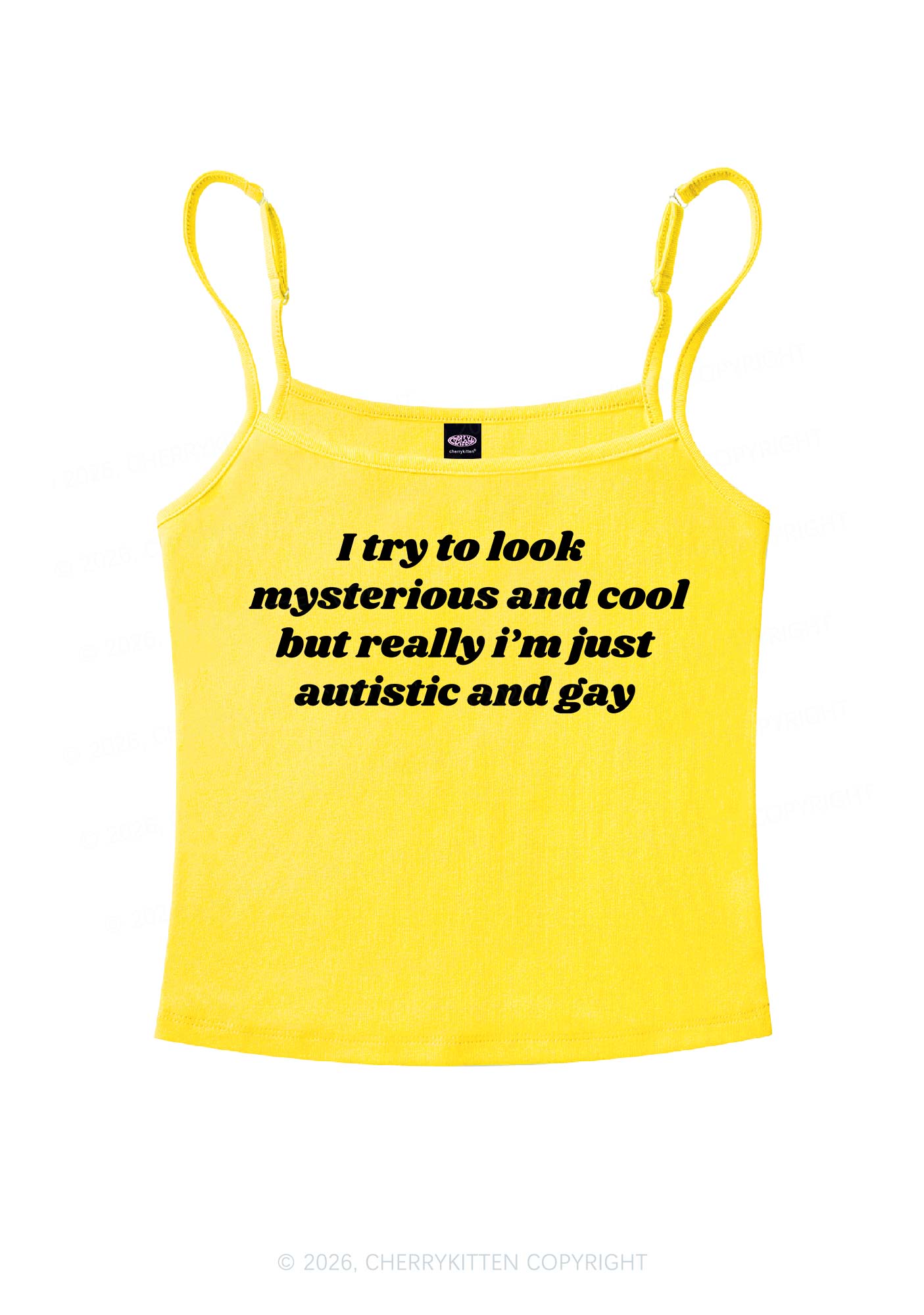 Im Just Autistic And Gay Pride Y2K Spaghetti Strap Cami Cherrykitten