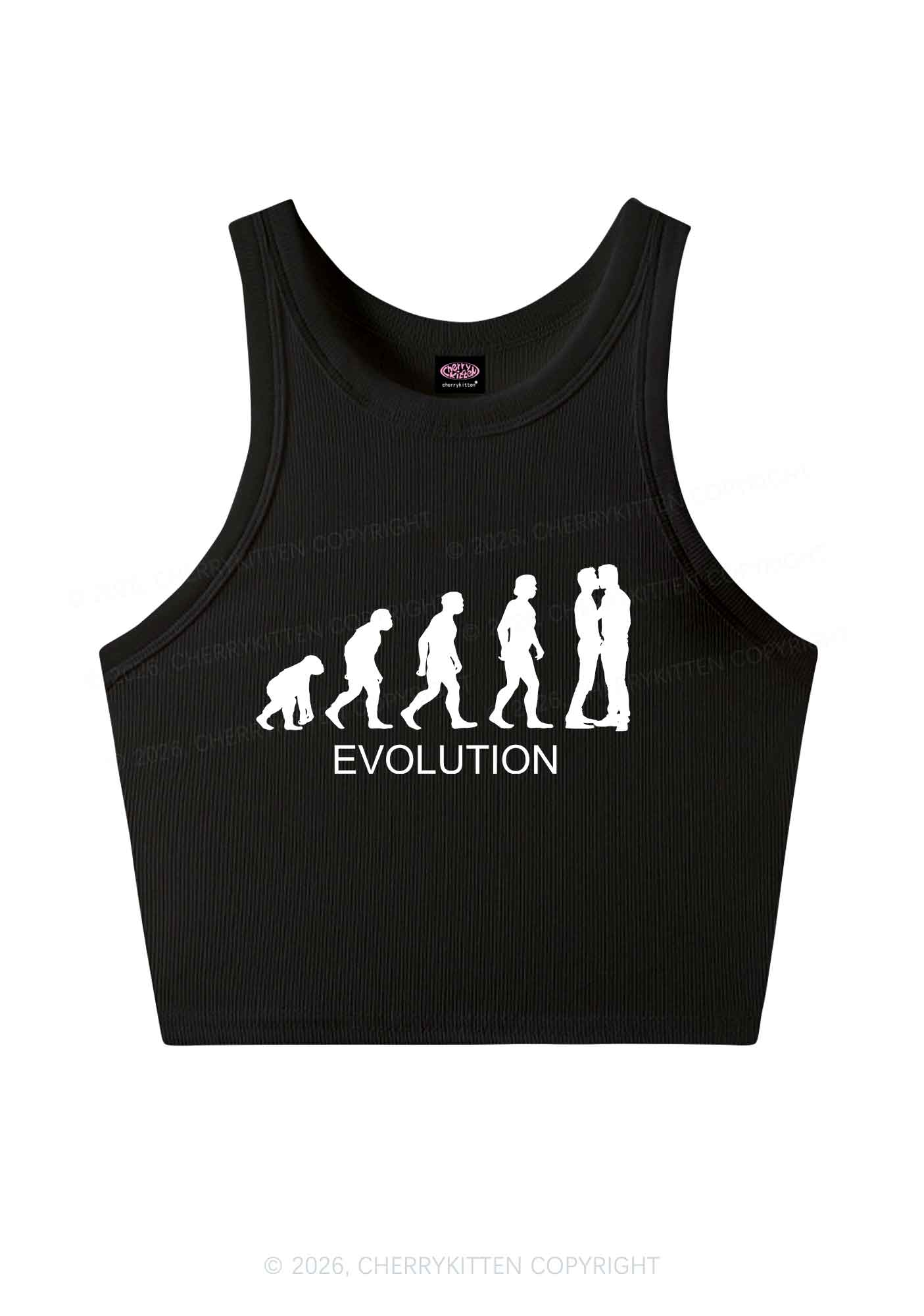 Gay Evolution Pride Y2K Crop Tank Top Cherrykitten