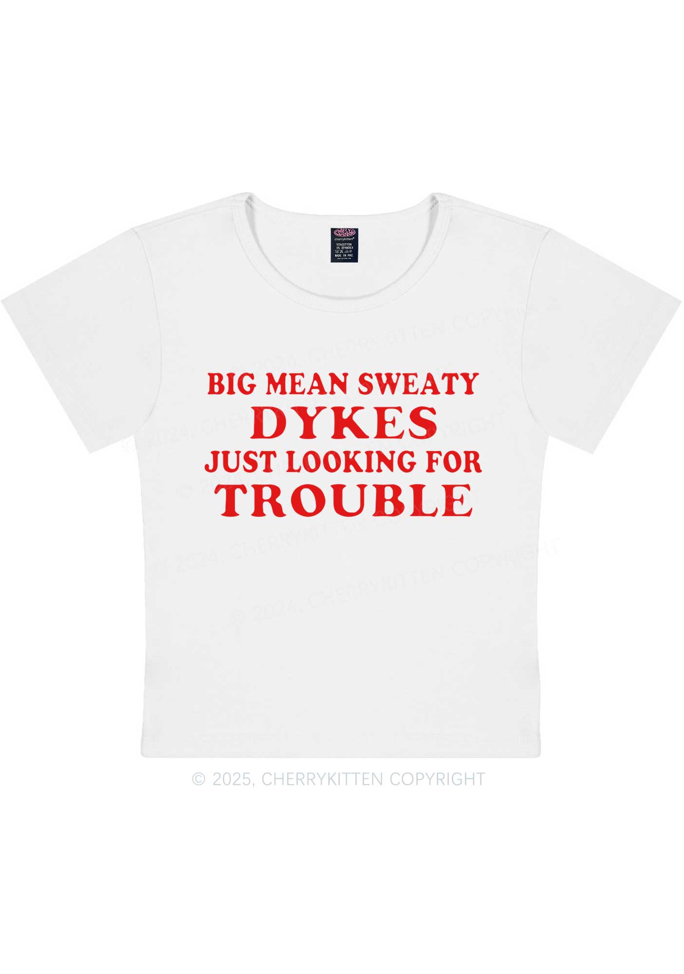 Dykes Trouble Y2K Baby Tee Cherrykitten