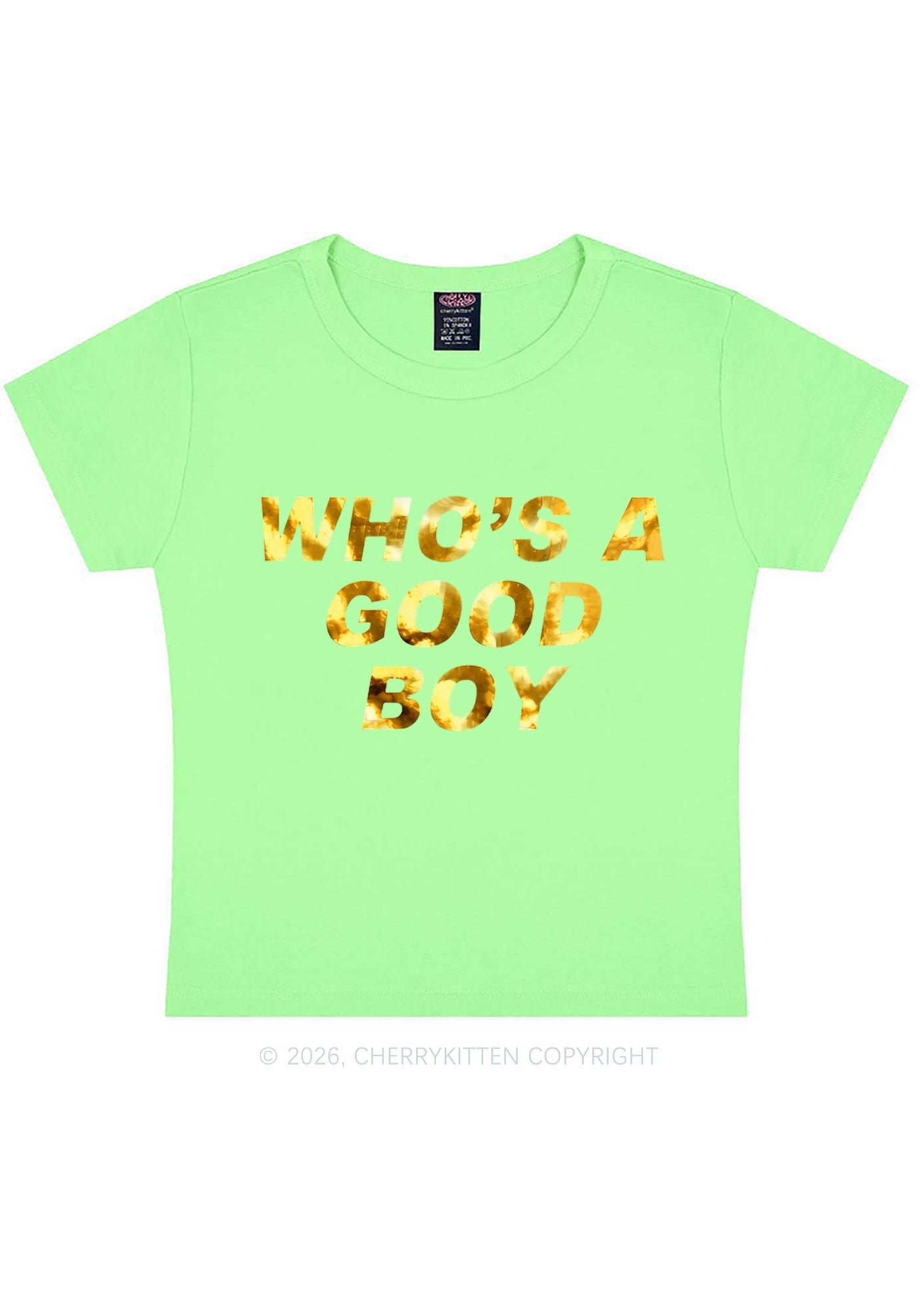 Whos A Good Boy Silver Foil Printed Y2K Baby Tee Cherrykitten