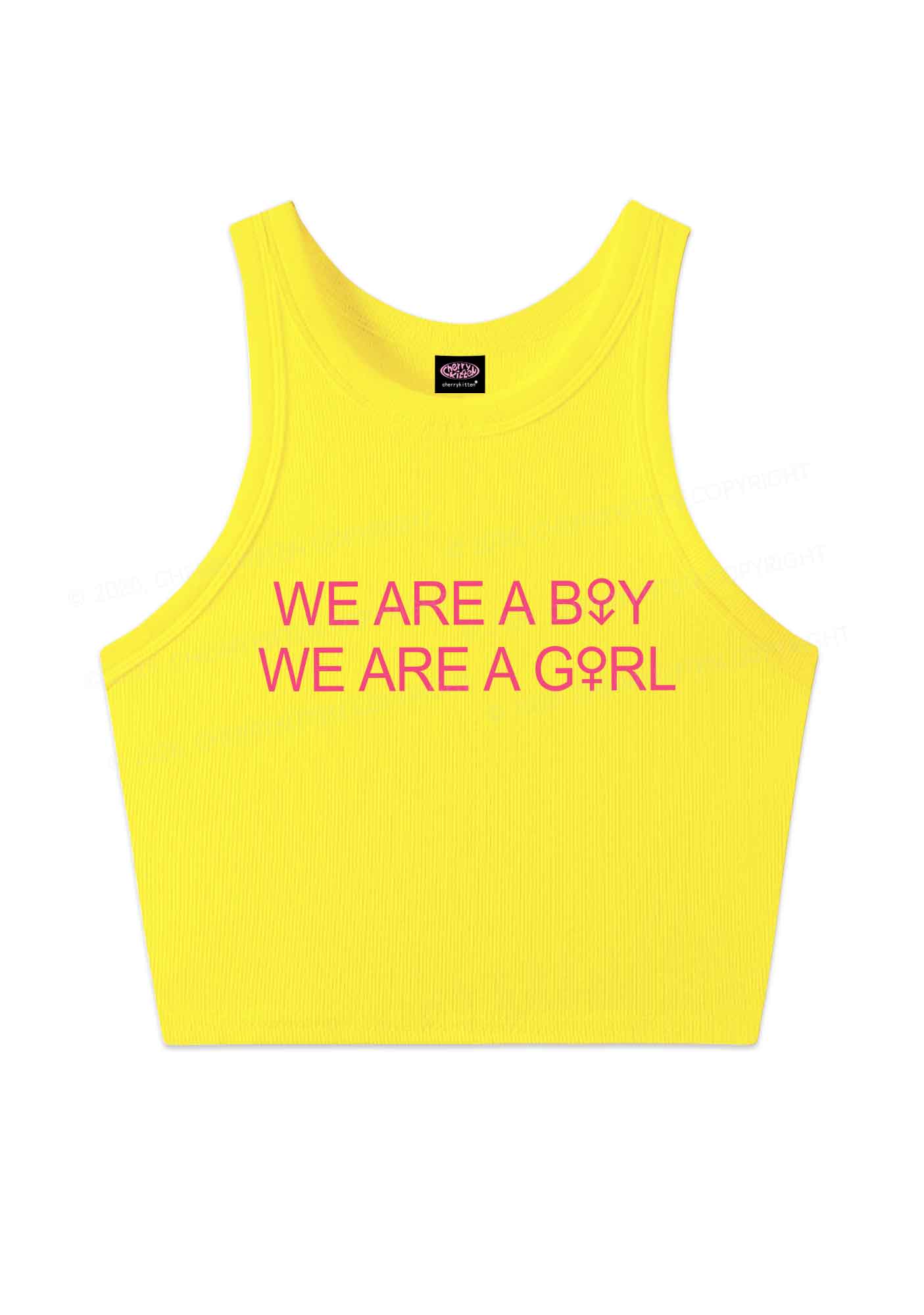 We Are A Boy Pride Y2K Crop Tank Top Cherrykitten