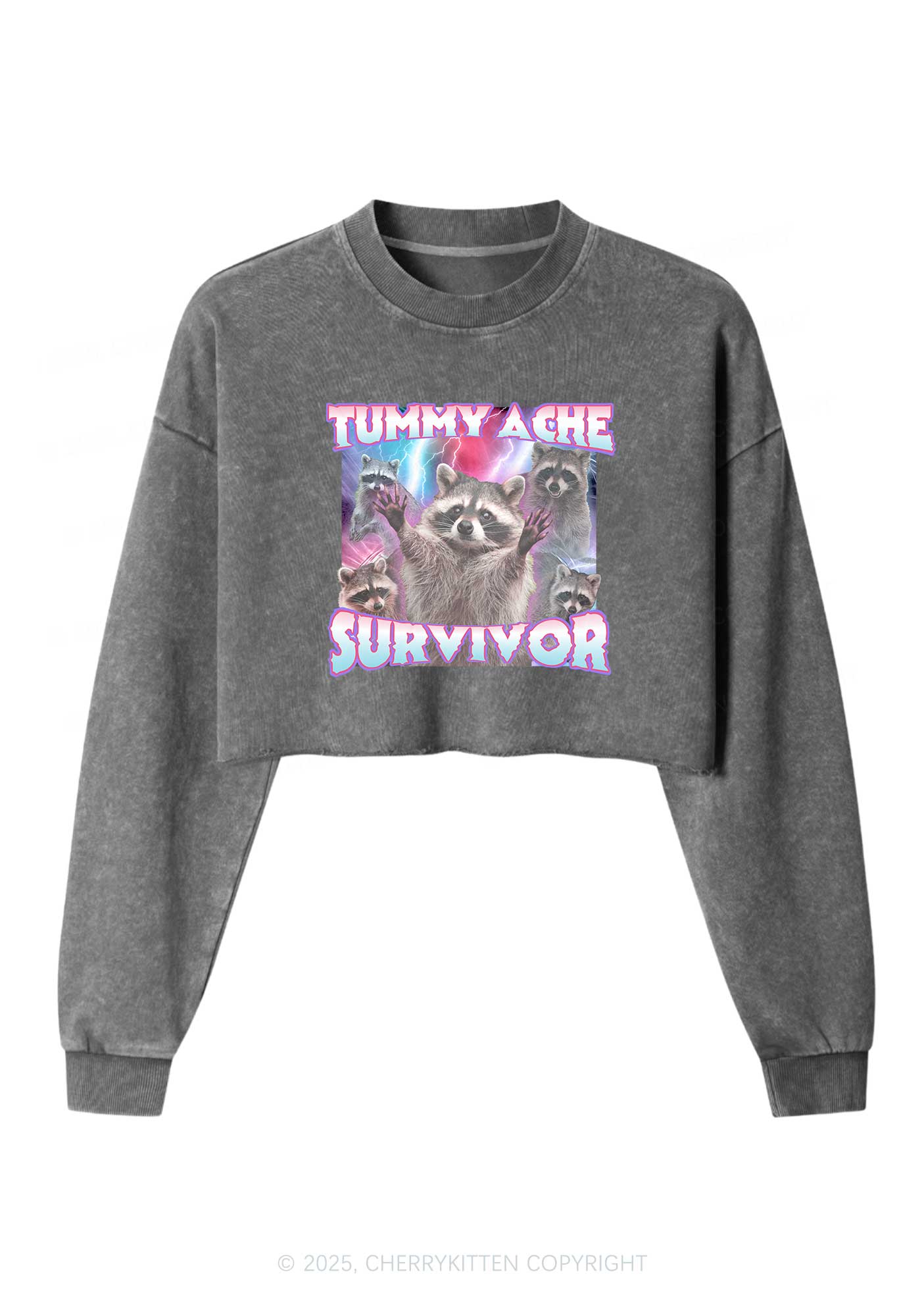 Tummy Ache Survivor Raccoon Y2K Crop Washed Sweatshirts Cherrykitten