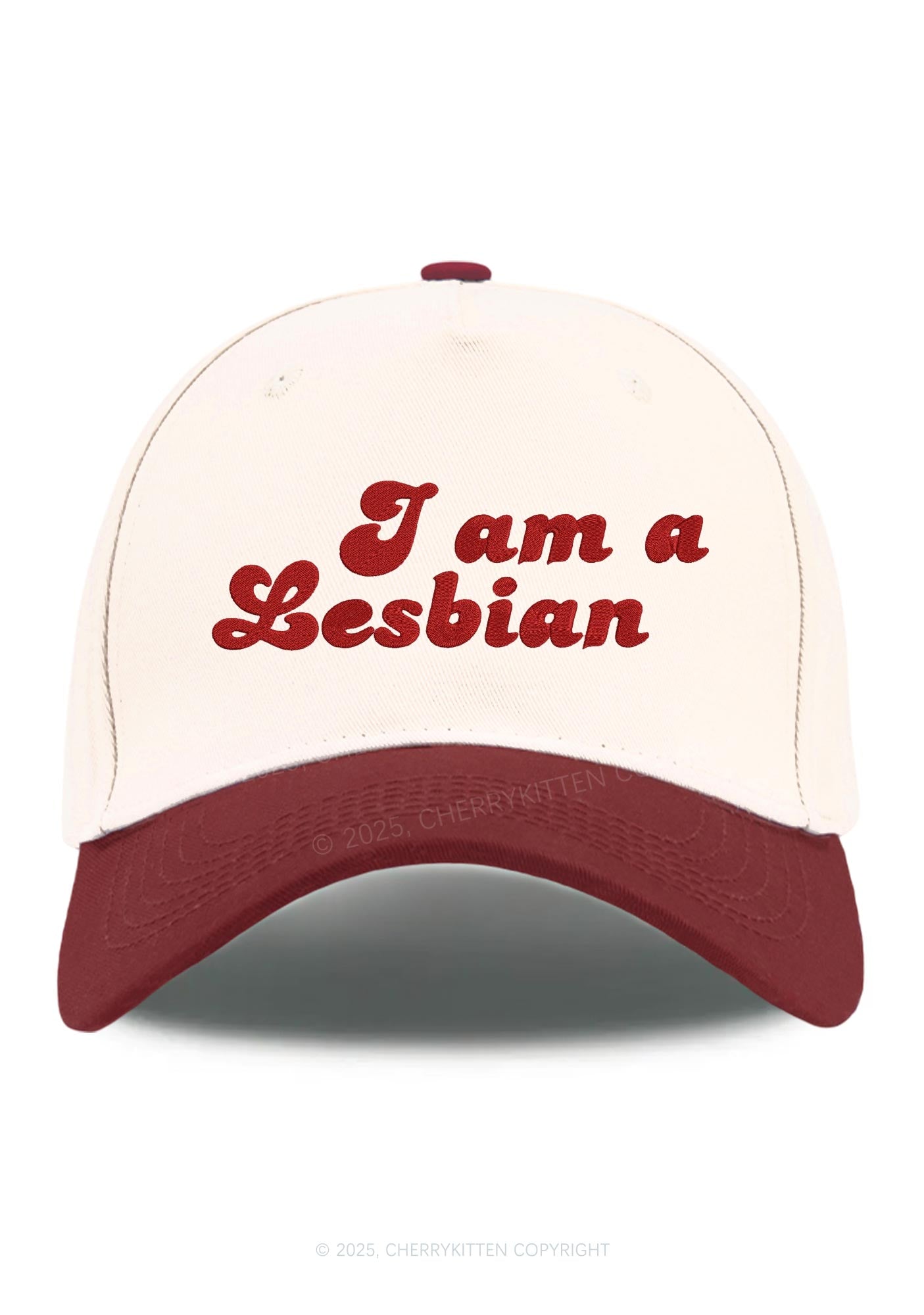 Embroidered Im Lesbian Pride Y2K Color Block Baseball Cap Cherrykitten