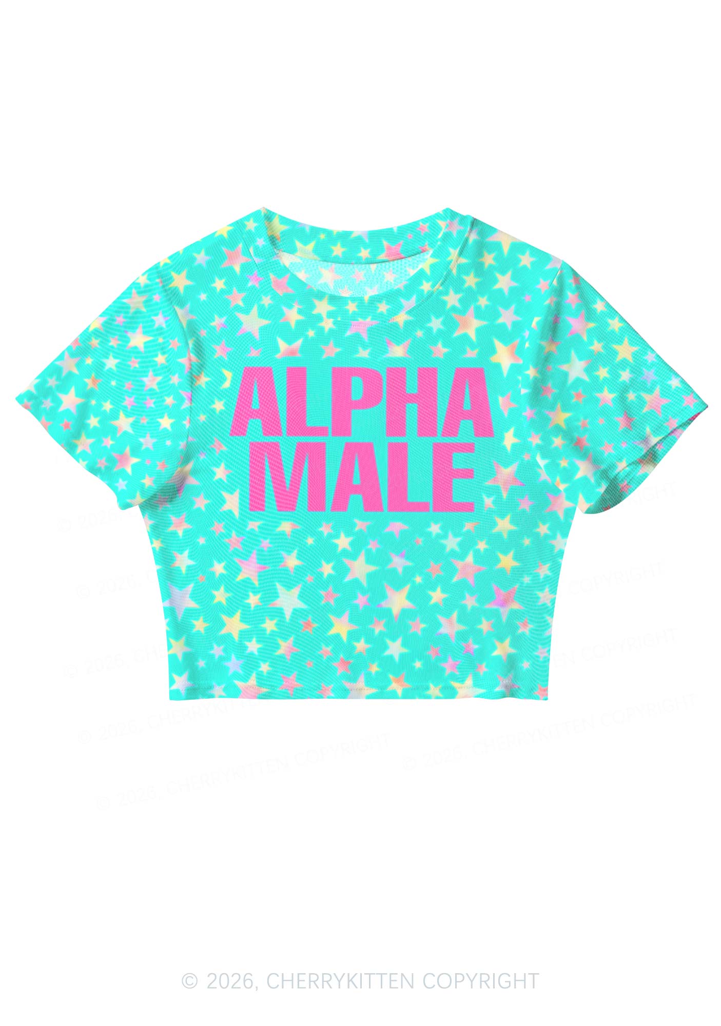 Blue Alpha Male Star Y2K Mesh Crop Top Cherrykitten