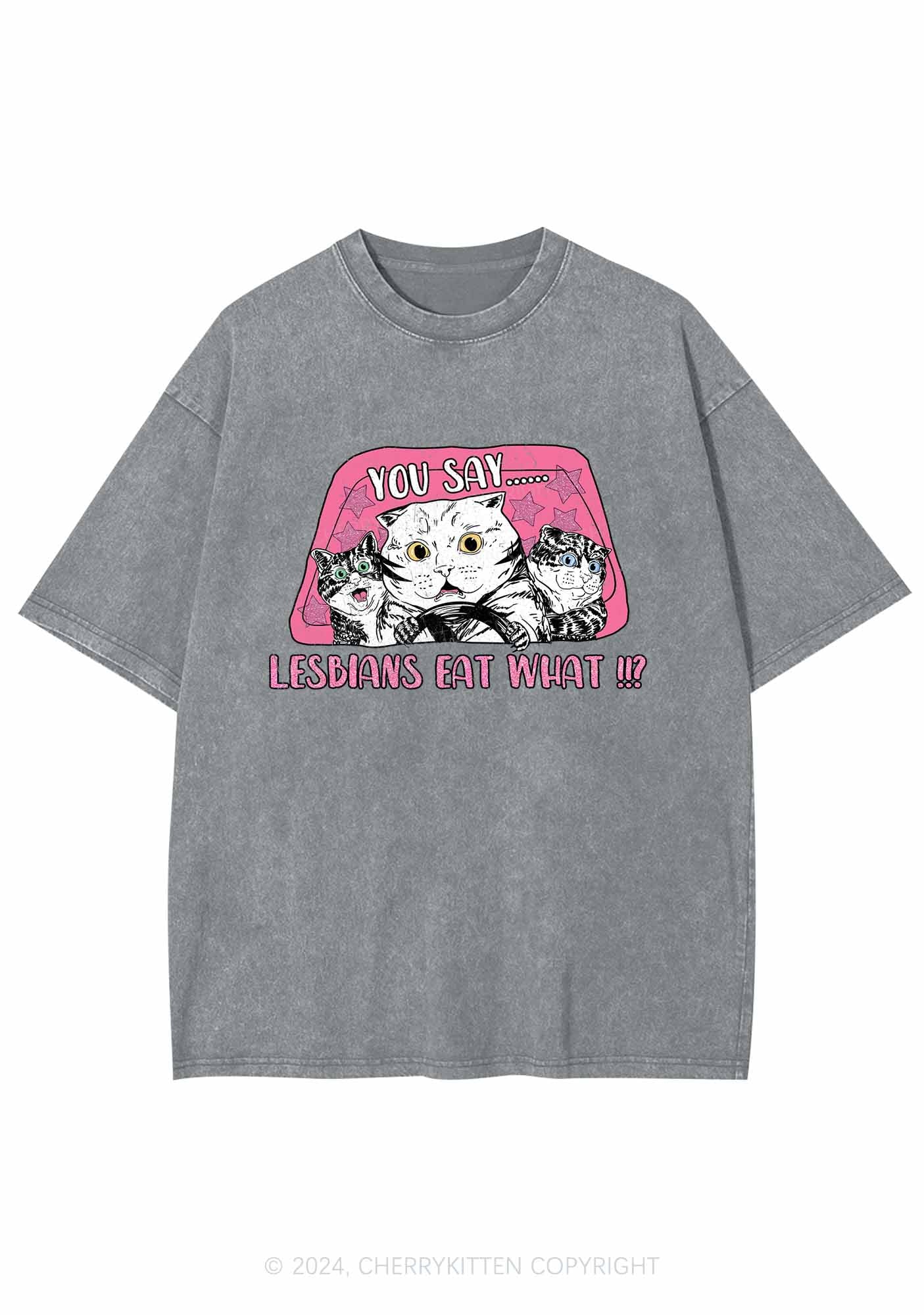 You Say Lesbians Eat What Y2K Washed Tee Cherrykitten
