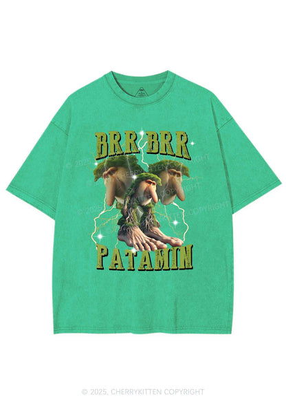 Brr Brr Patapim Italian Brainrot Shirt Y2K Shirts Washed Tee Cherrykitten