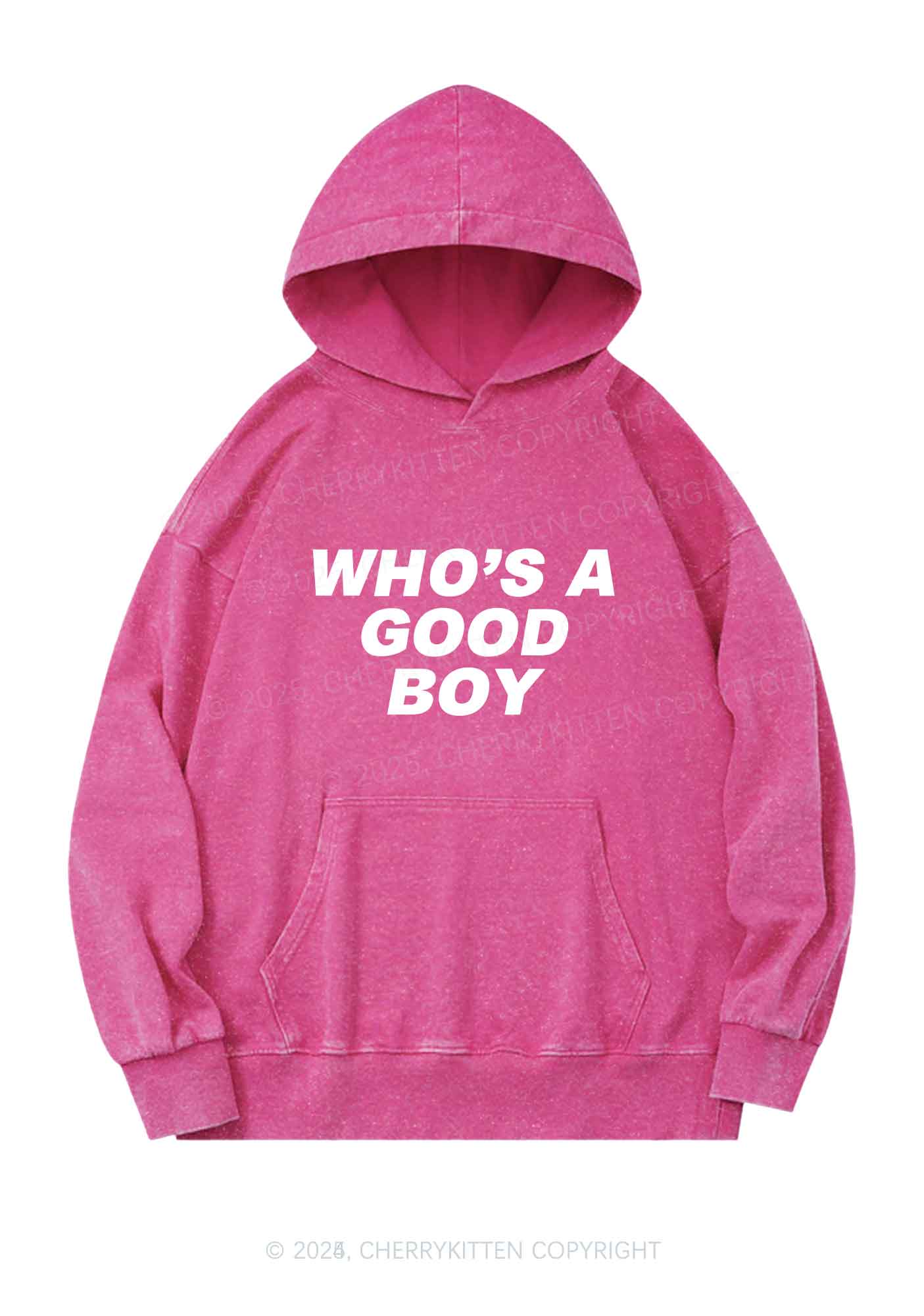 Whos A Good Boy Y2K Washed Hoodie Cherrykitten