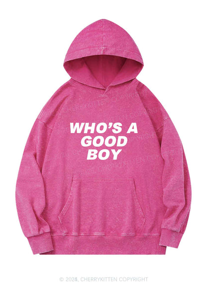 Whos A Good Boy Y2K Washed Hoodie Cherrykitten