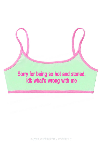 Sorry For Being Hot And Stoned Y2K Super Crop Cami Cherrykitten