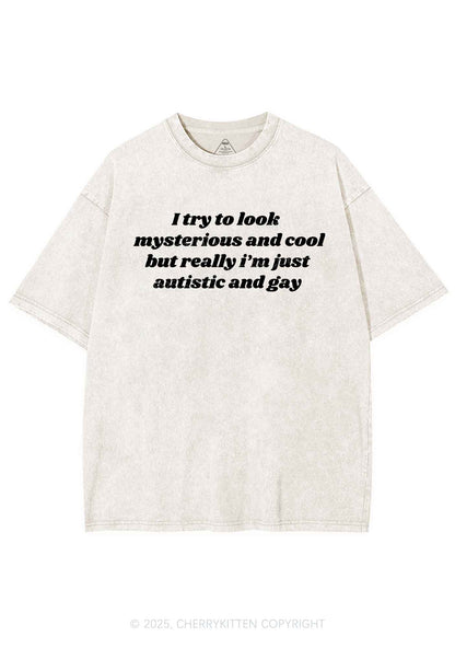 Im Just Autistic And Gay Pride Y2K Shirts Washed Tee Cherrykitten