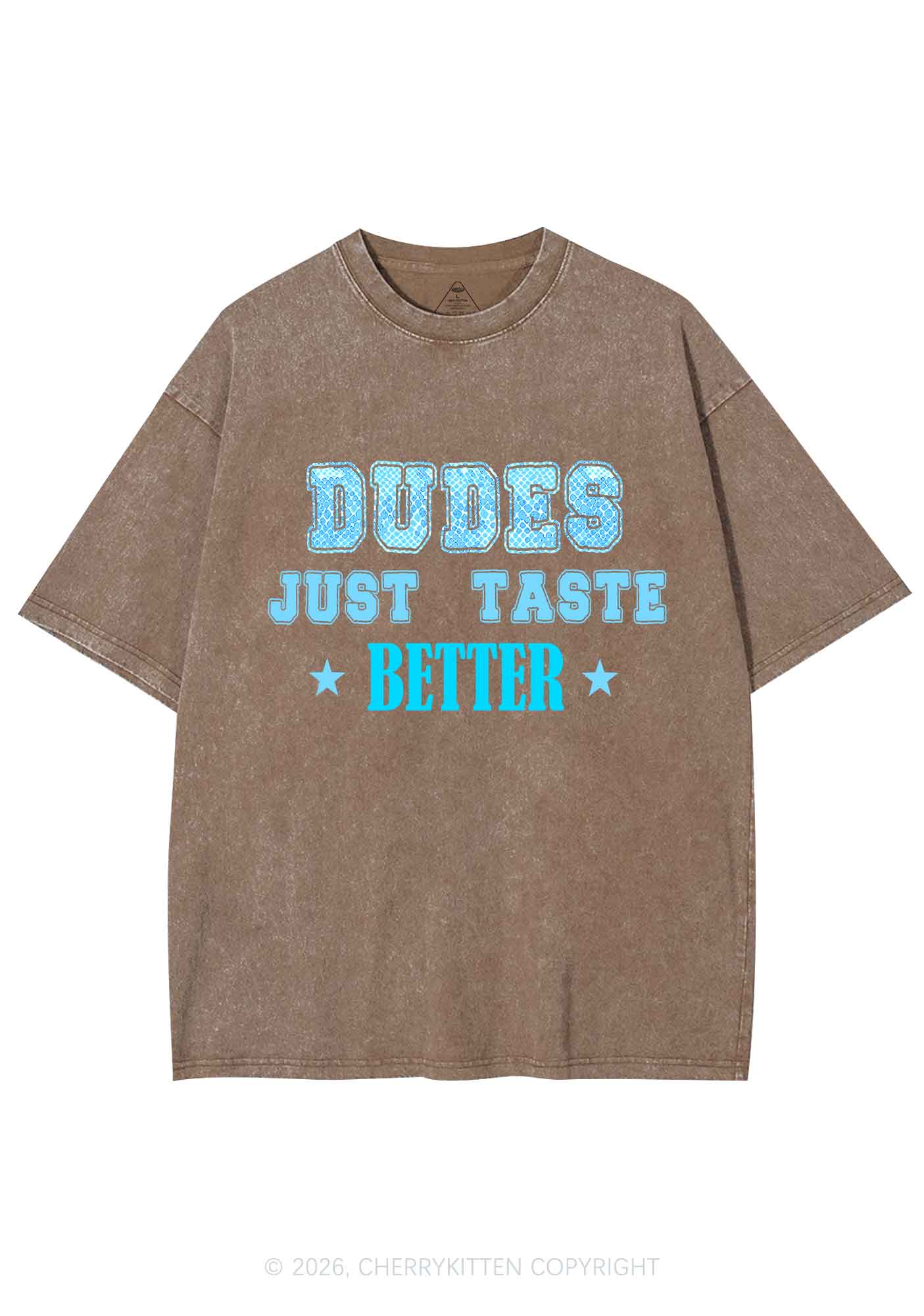 Dudes Just Taste Better Pride Y2K Shirts Washed Tee Cherrykitten
