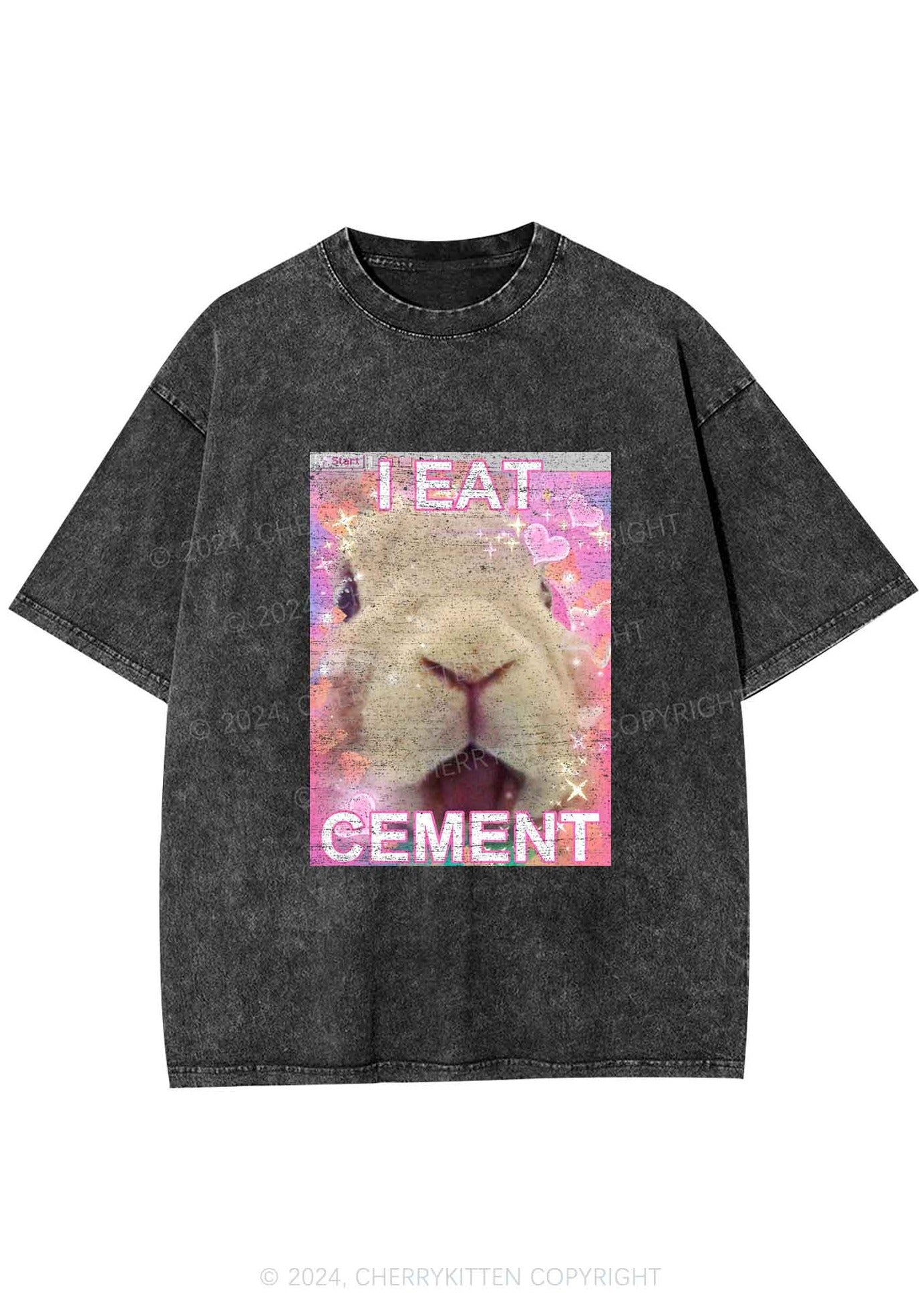 Bunny Eat Cement Y2K Washed Tee Cherrykitten