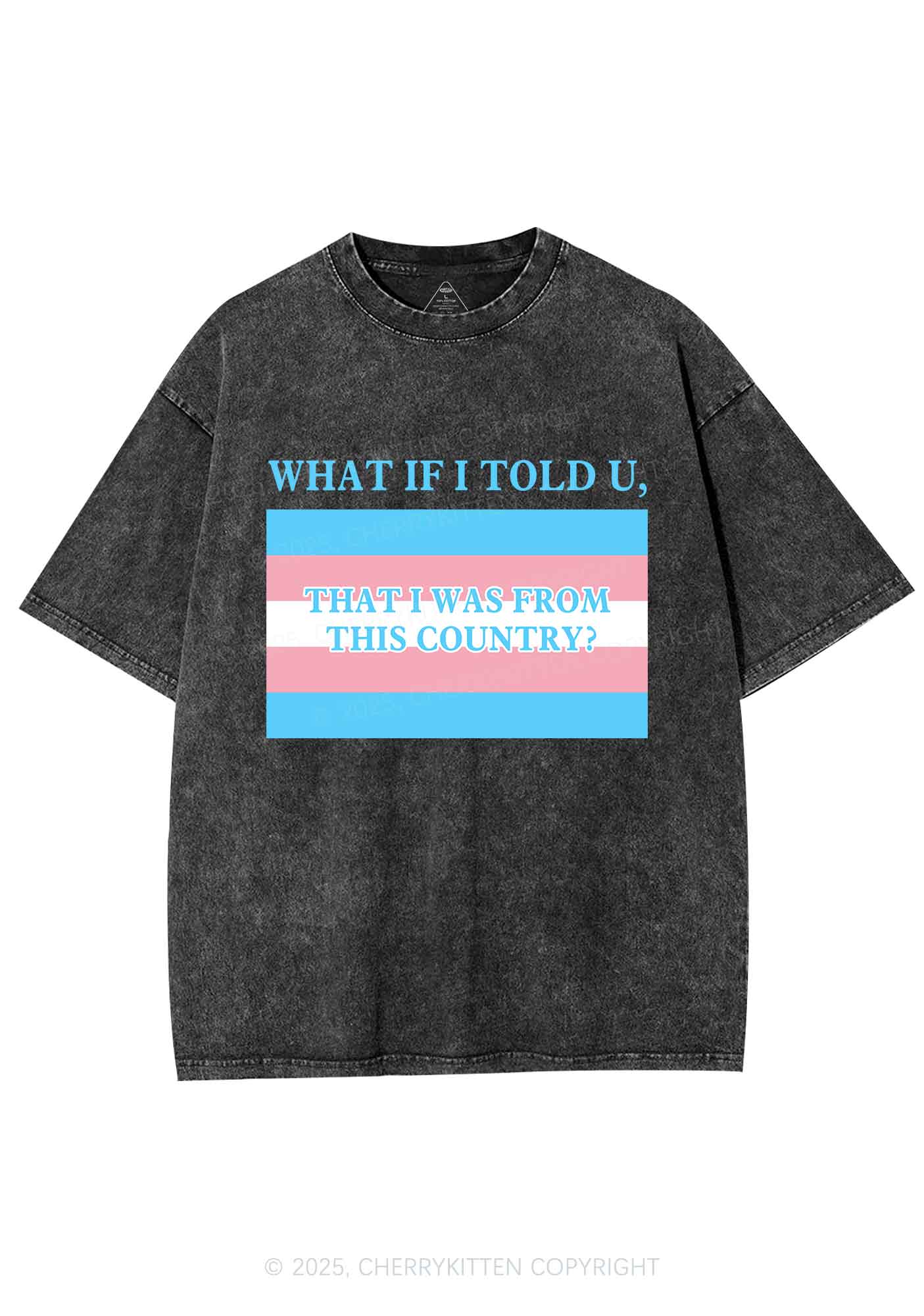 I Was From This Country Y2K Shirts Washed Tee Cherrykitten